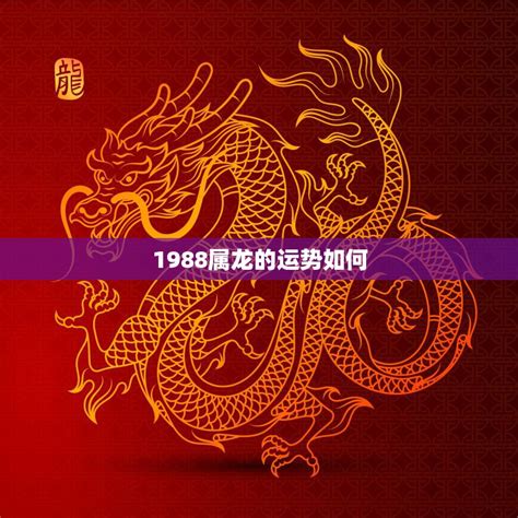 1988 属|1988年属龙的是什么命 1988年属龙的是什么命金木水火土